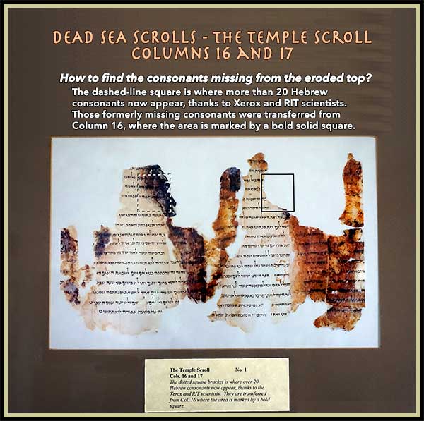 Dead Sea Scrolls - The Temple Scroll - Columns 16 and 17